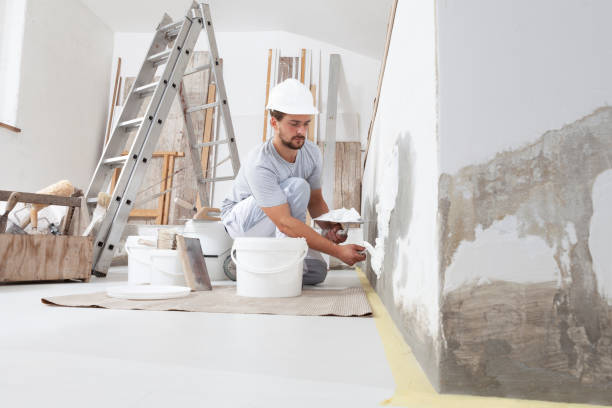 Best Mold Damage Restoration  in Middlesborough, KY