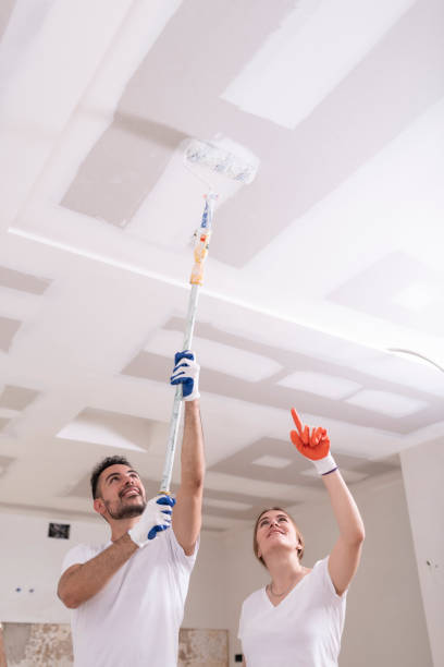 Best Mold Removal for HVAC Installations  in Middlesborough, KY