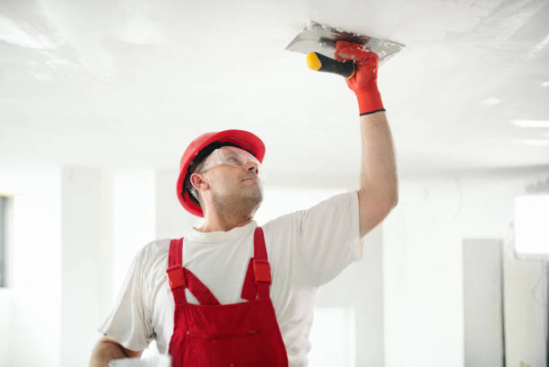 Best Forensic Mold Investigation  in Middlesborough, KY